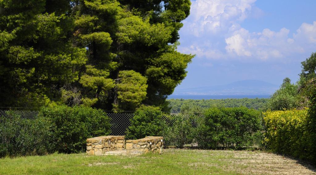 Olivos Villa Sani Sani  Ruang foto